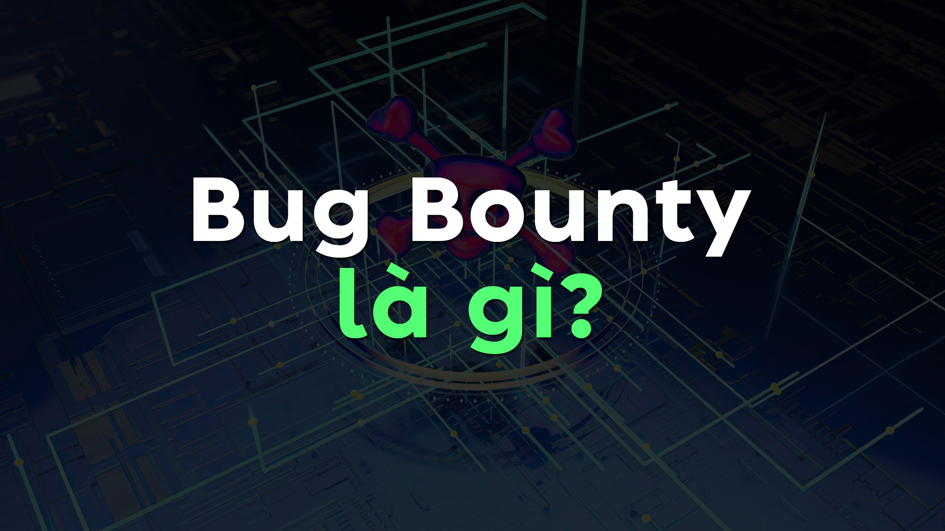 Bug Bounty Là Gì? Toàn Tập Về Chương Trình Săn Lỗi Bảo Mật Nhận Tiền Thưởng