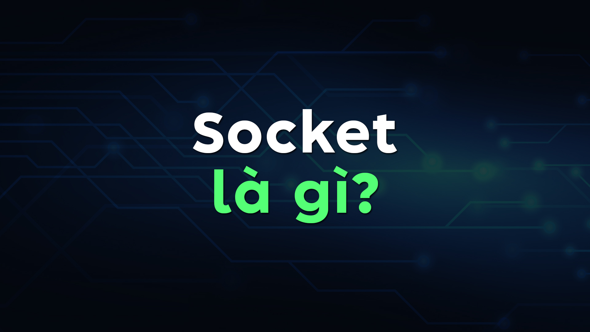 Socket là gì? Khái Niệm, Vai Trò và Các Loại Socket Dùng Nhiều Nhất Trong Lập Trình