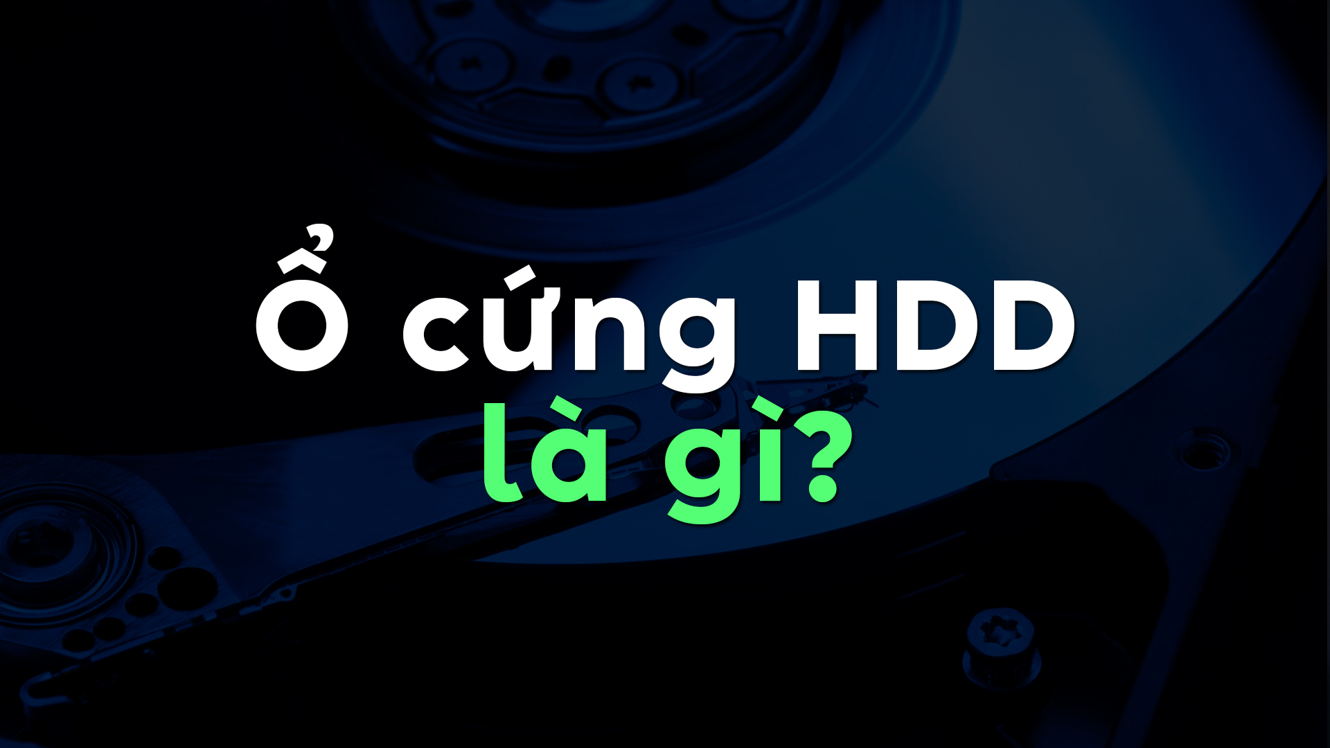 Ổ cứng HDD là gì? Các loại – Đặc điểm & Ưu nhược điểm khi dùng