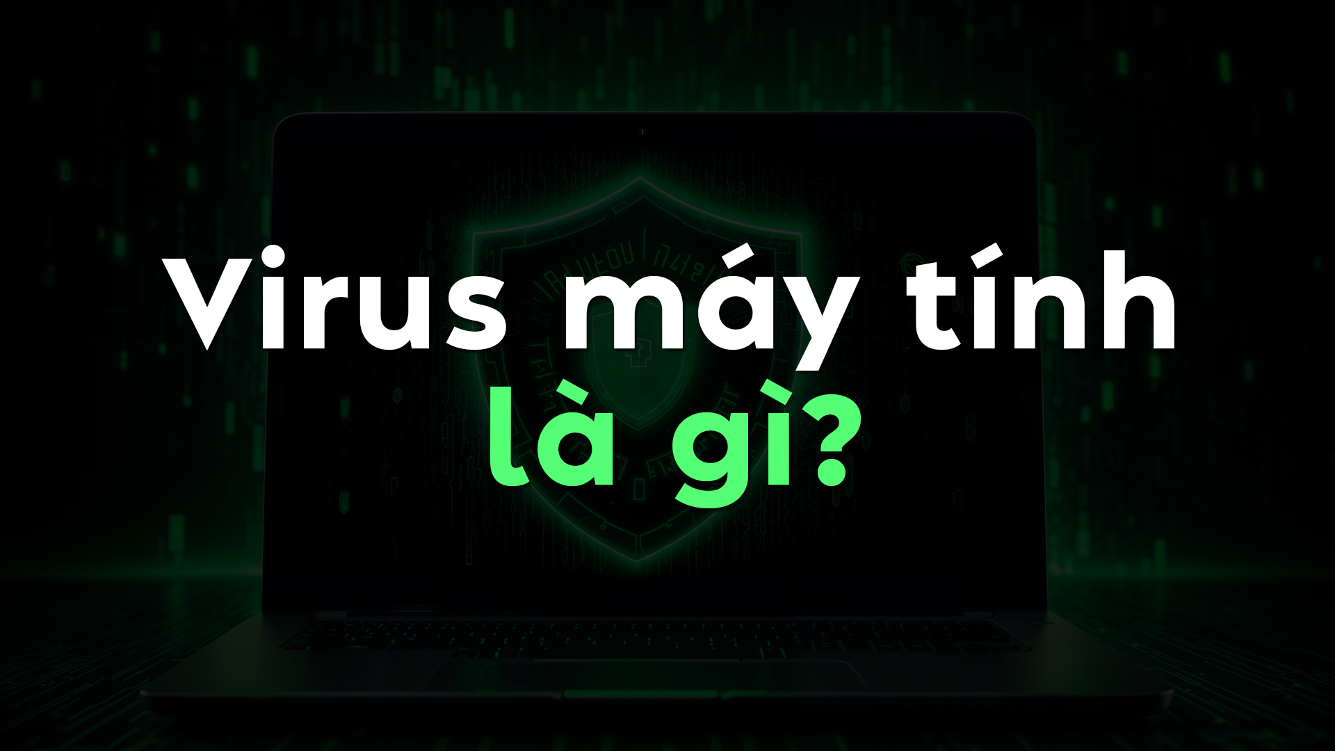 Virus máy tính là gì? Cách phòng chống máy tính xâm nhập