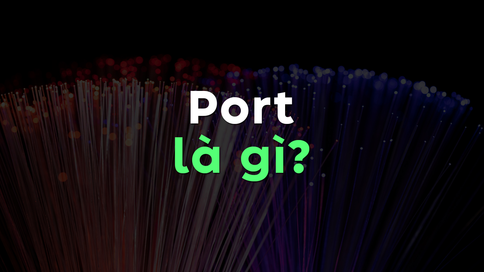 Port là gì? | Phân loại & Tính năng nổi bật của cổng Port