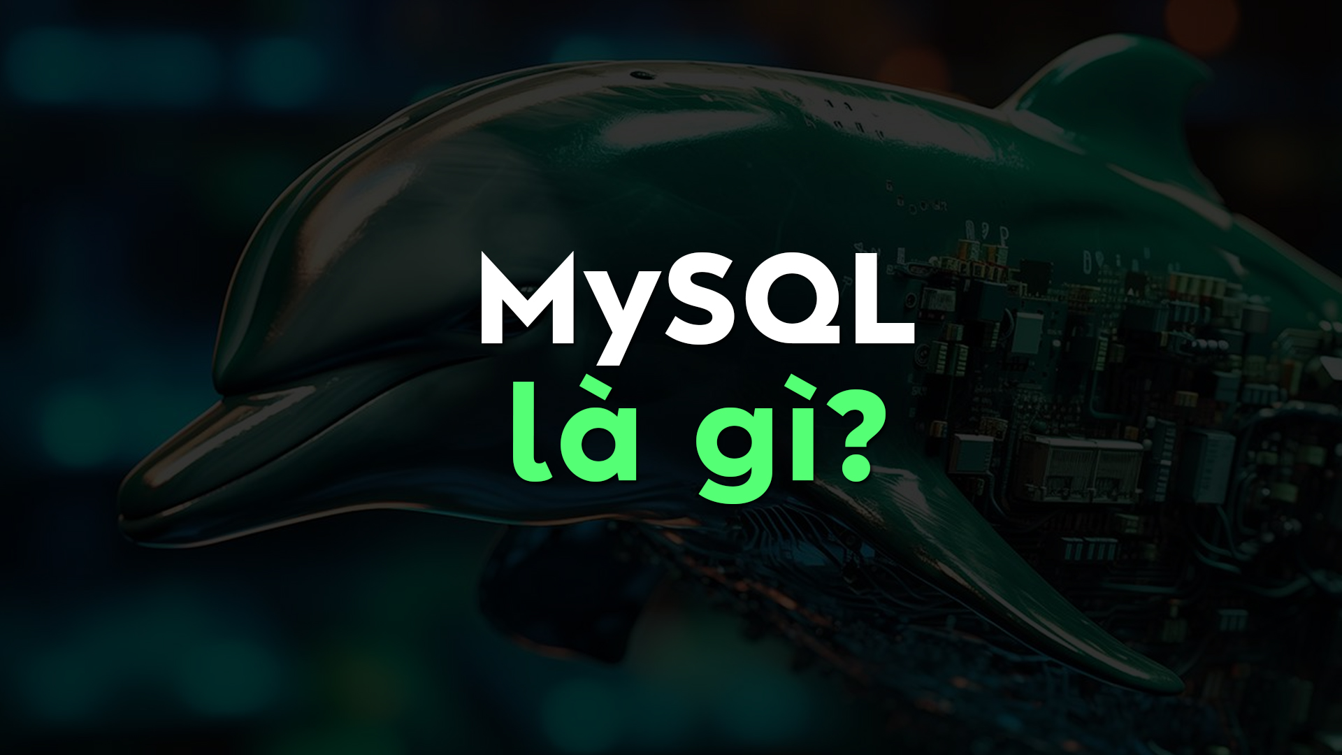 MySQL là gì? So sánh chi tiết với SQL Server cho người mới bắt đầu