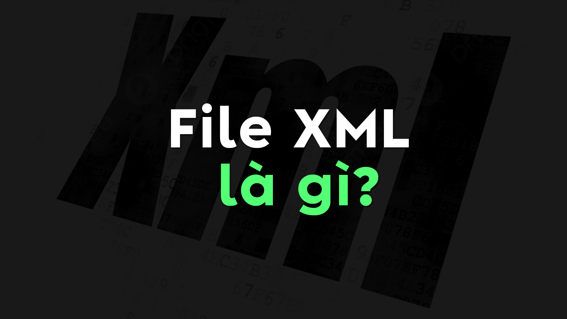 File XML là gì? Ưu và nhược điểm của XML