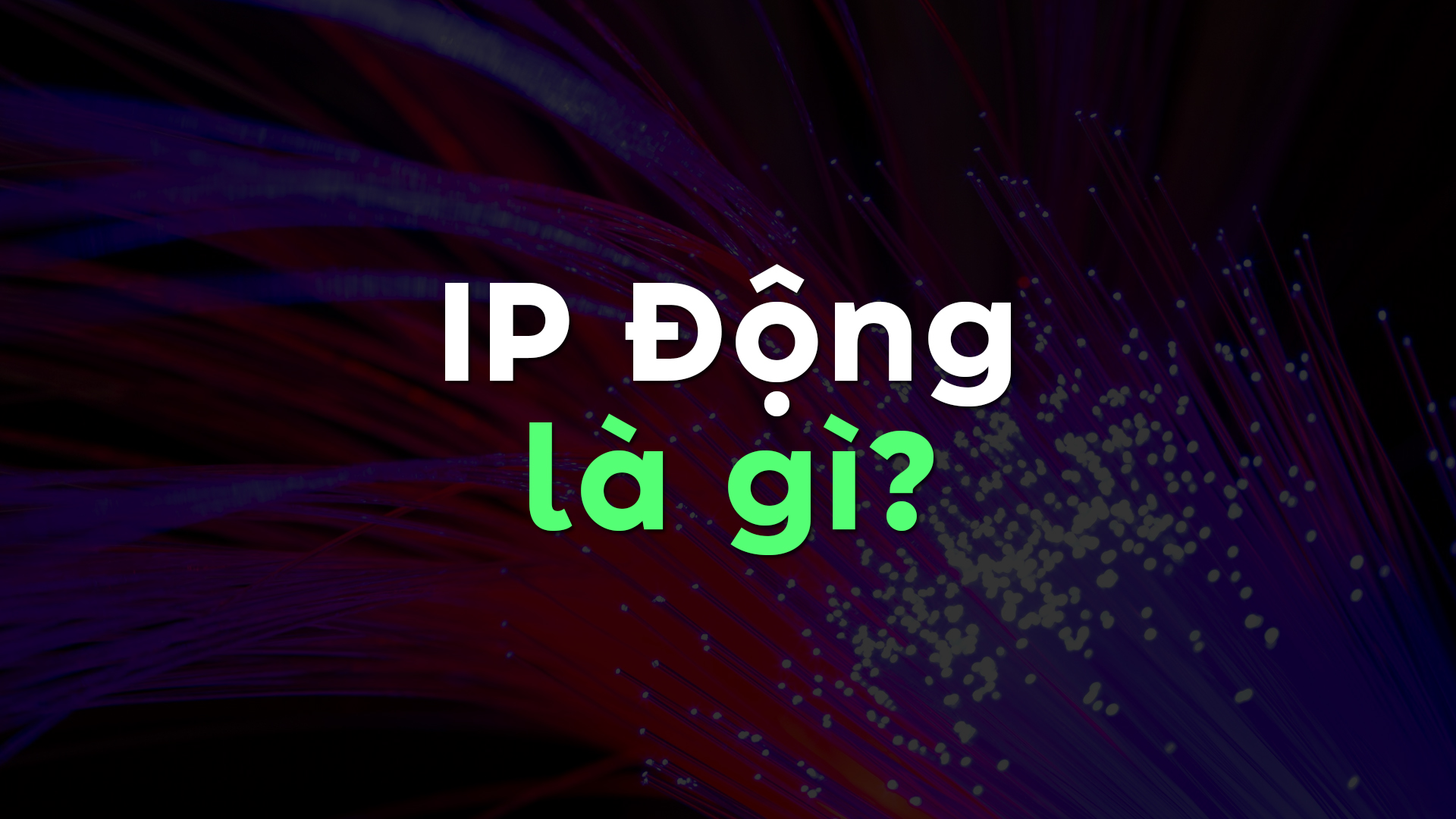 IP động là gì? So sánh chi tiết ưu – nhược điểm với IP tĩnh
