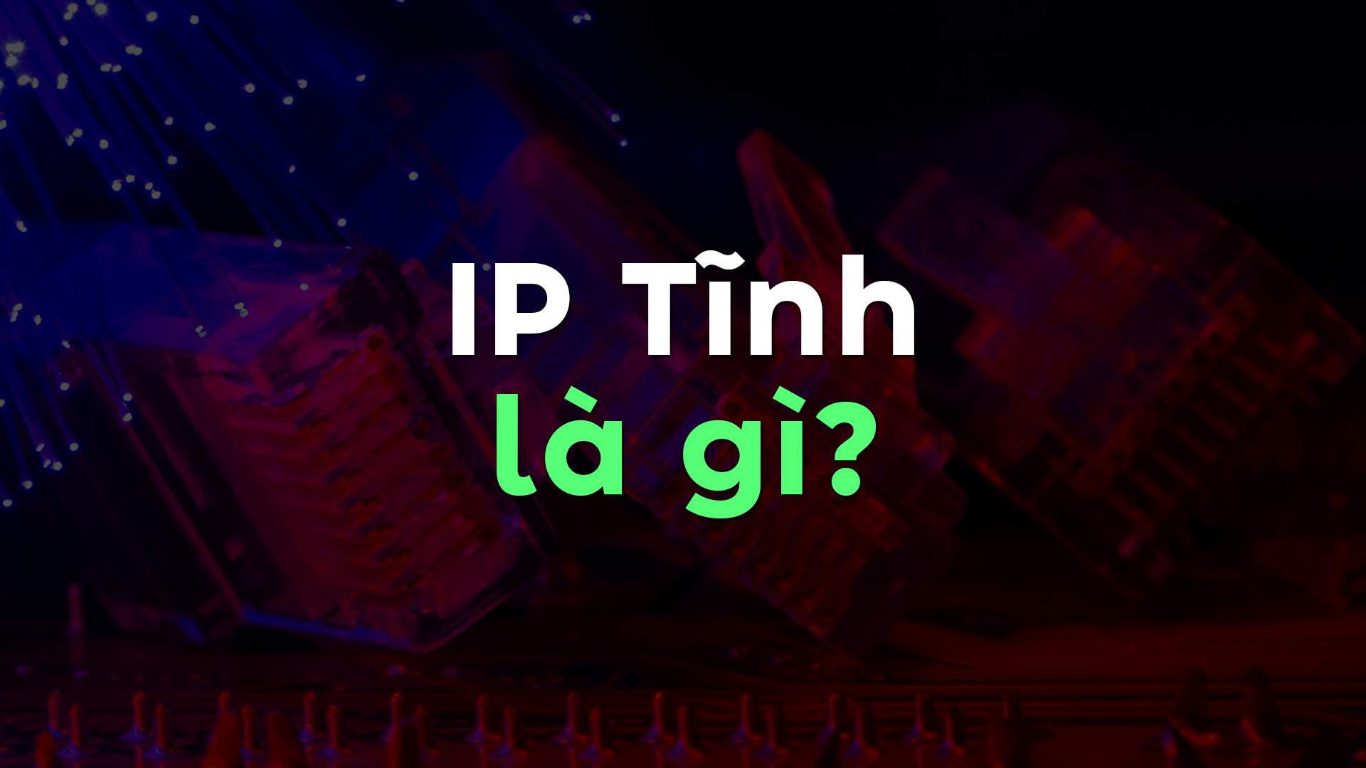 IP tĩnh là gì? Khám phá công dụng và lợi ích bạn nên biết