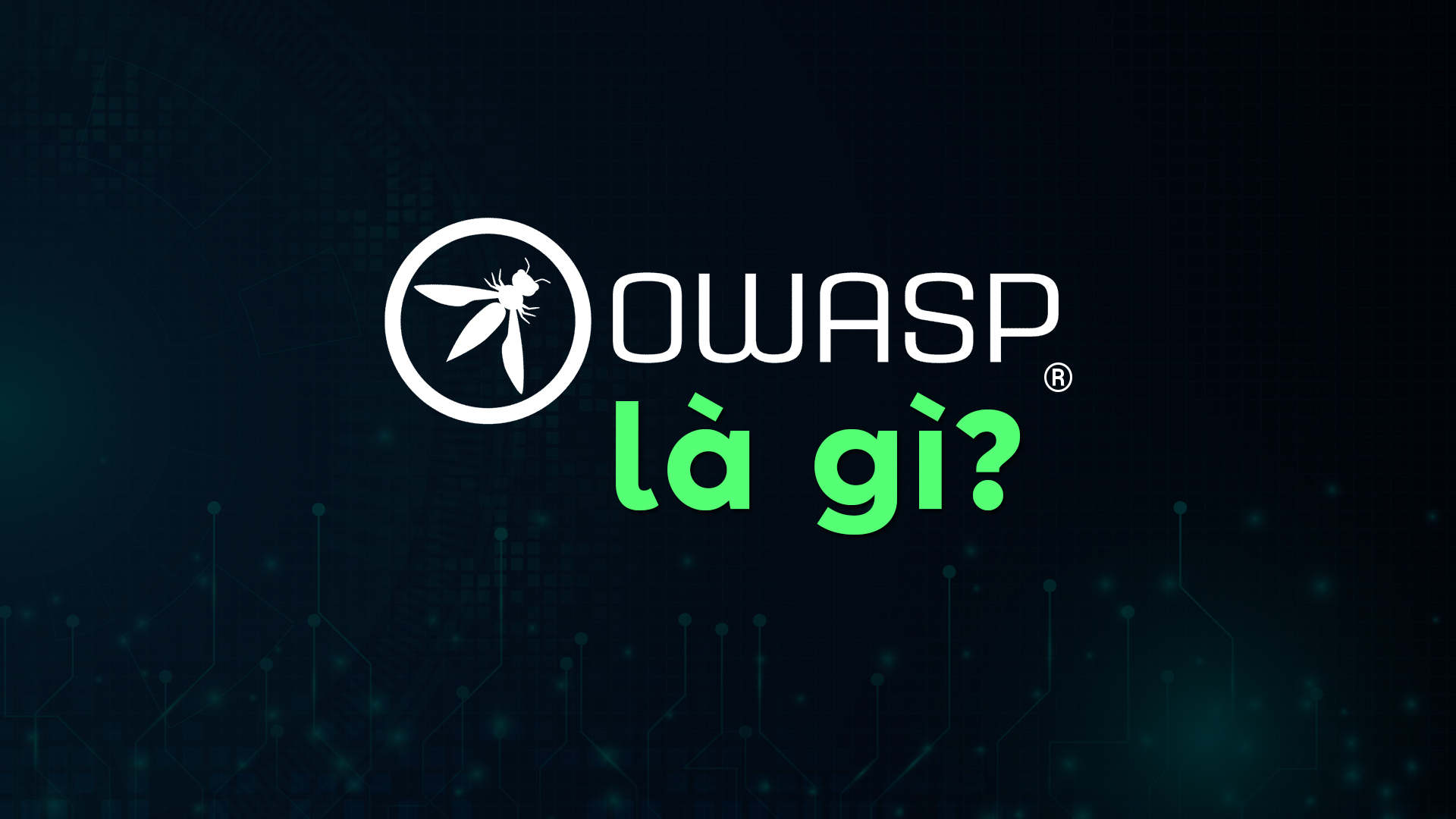 OWASP Là Gì? Nhiệm Vụ Cốt Lõi Và Những Lỗ Hổng Bảo Mật Website Phổ Biến Do OWASP Cảnh Báo